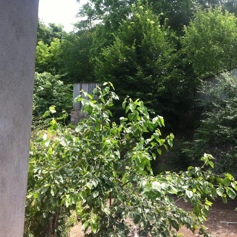 Ilgar'S Hostel Sheki Exterior photo